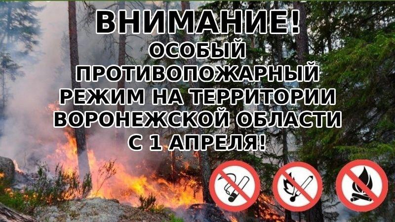 Вводится особый противопожарный режим.