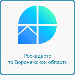 Роскадастр проводит для воронежцев судебные экспертизы в сфере недвижимости.