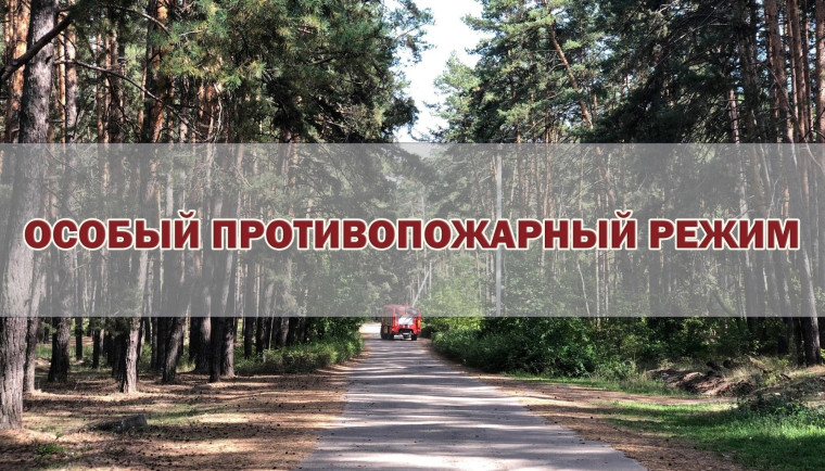 Введен особый противопожарный режим. Введен особый противопожарный режим.