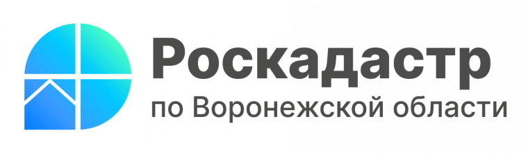 Все лесничества Воронежской области внесены в ЕГРН. Все лесничества Воронежской области внесены в ЕГРН.